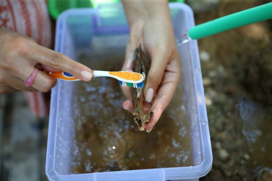 Çorum'da ilginç kazı! Hititler neler yiyormuş öyle... Kaplumbağadan domuza... 20